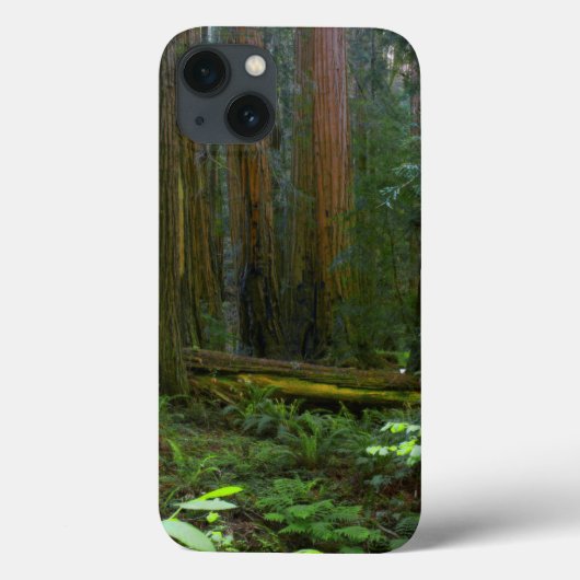 kustmammoetbomen in Muir Bossen National Park Case-Mate iPhone Case (Achterkant)