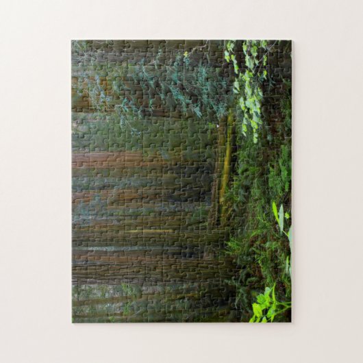 kustmammoetbomen in Muir Bossen National Park Legpuzzel (Verticaal)