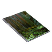 kustmammoetbomen in Muir Bossen National Park Notitieboek (Rechterzijde)