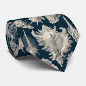 Kustmarine Blauwe en Witte Zeeschelpen Oceaan Stropdas (Opgerold)