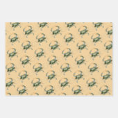 Kustmatchen, Nautical Beach Matching Design Inpakpapier Vel (Voorkant 3)