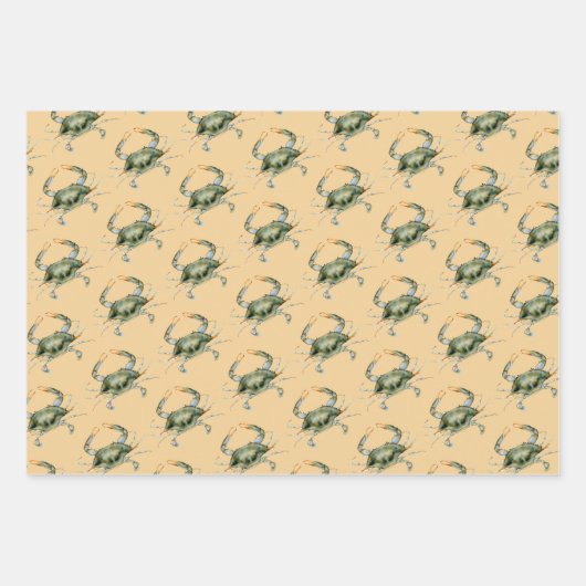 Kustmatchen, Nautical Beach Matching Design Inpakpapier Vel (Voorkant 3)