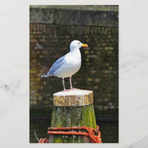 Kustmeeuw vogel en oceaan natuurfoto briefpapier