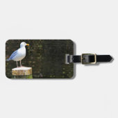 Kustmeeuw vogel en oceaannatuur foto bagagelabel (Voorkant horizontaal)