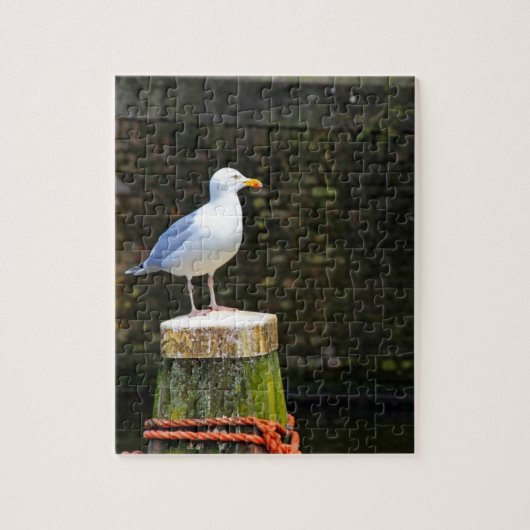 Kustmeeuw vogel en oceaannatuurfotografie legpuzzel (Verticaal)