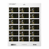 Kustmeeuwfotografie Etiket (Full Sheet)