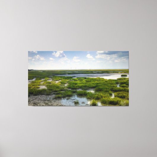 Kustmoeras met verre brug canvas afdruk (Voorkant)