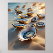 Kustmuur Art Oyster Shells aan de Kust Poster (Voorkant)