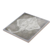 Kustneutraal Waterverf Schaats Sting Ray Pewter Ne Tegeltje (Zijkant)