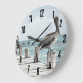 Kustoceaan Pelikaan Grote Klok (Hoek)