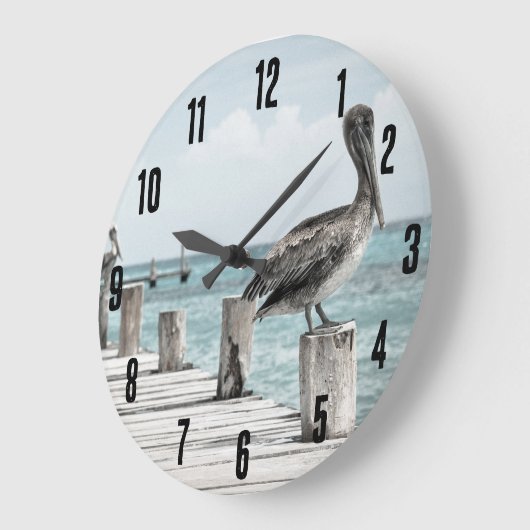 Kustoceaan Pelikaan Grote Klok (Hoek)