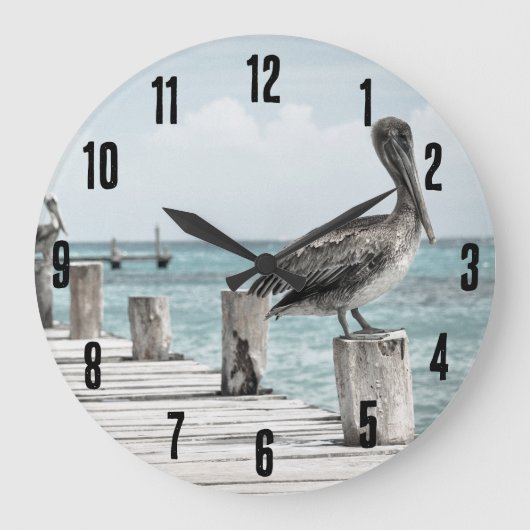 Kustoceaan Pelikaan Grote Klok (Voorkant)