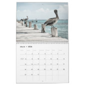 Kustoceaan Pelikaan Kalender (Mar 2026)