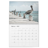 Kustoceaan Pelikaan Kalender (Feb 2027)