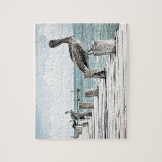 Kustoceaan Pelikaan Legpuzzel (Verticaal)