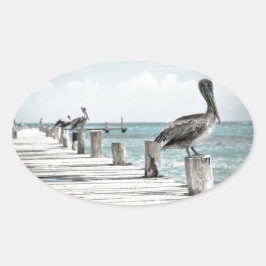 Kustoceaan Pelikaan Ovale Sticker