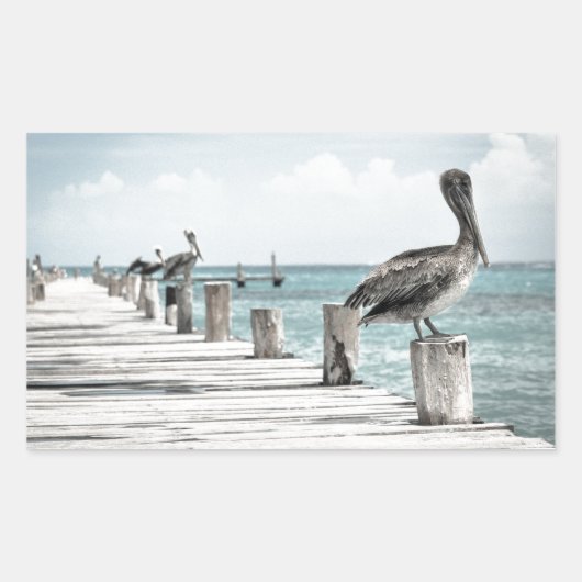 Kustoceaan Pelikaan Rechthoekige Sticker (Voorkant)