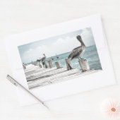 Kustoceaan Pelikaan Rechthoekige Sticker (Envelop)