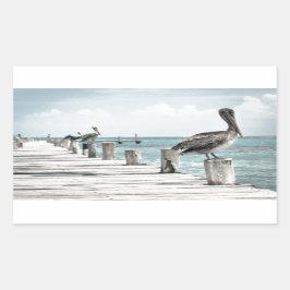 Kustoceaan Pelikaan Rechthoekige Sticker