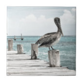 Kustoceaan Pelikaan Tegeltje (Voorkant)