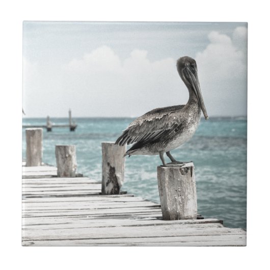 Kustoceaan Pelikaan Tegeltje (Voorkant)