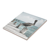 Kustoceaan Pelikaan Tegeltje (Zijkant)