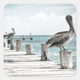 Kustoceaan Pelikaan Vierkante Sticker