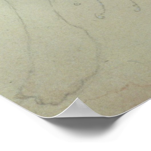 Kustontwerp voor Salome Poster (Hoek)