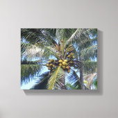 Kustpalm 8 x 10-inch canvas afdrukken (Voorkant)