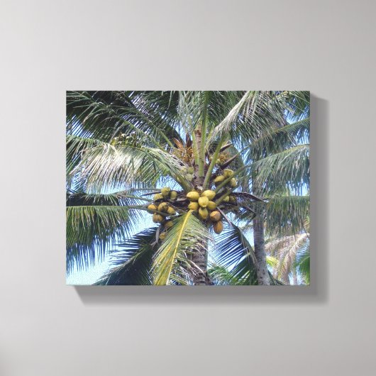 Kustpalm 8 x 10-inch canvas afdrukken (Voorkant)