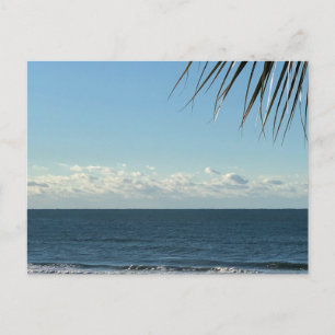Kustpalmbladeren & Oceaangolven Fotografie Briefkaart