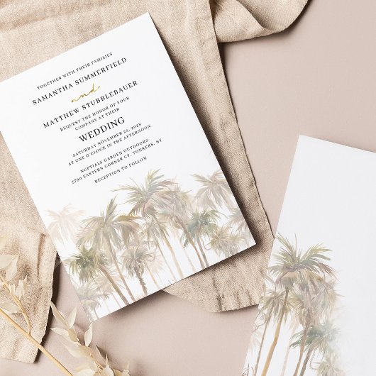 Kustpalmbomen Beach Weddenschap Kaart