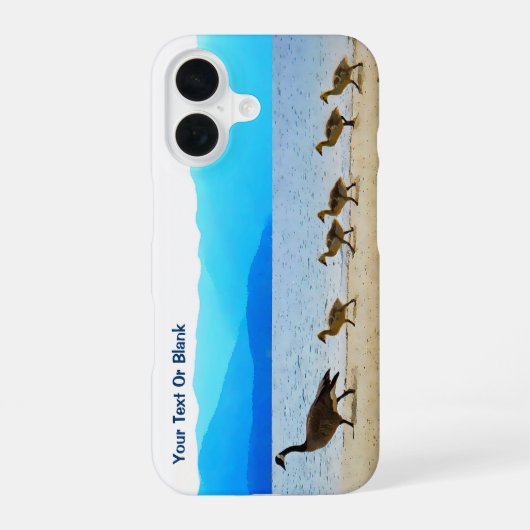Kustpatrouille - Canadese gans iPhone 16 Hoesje (Achterkant)