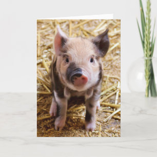 KUSTPIG PIGLET ALLE OPENBARE WENSKAARTEN FEESTDAGEN KAART