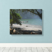 Kustplaats, slecht strand, kust, mooi, mooi canvas afdruk (Insitu (Houten vloer))