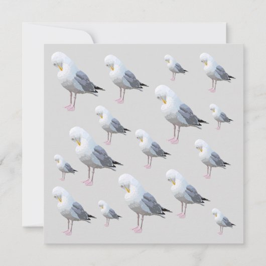 Kustpredikant Gull Grey Beach House Kaart (Achterkant)