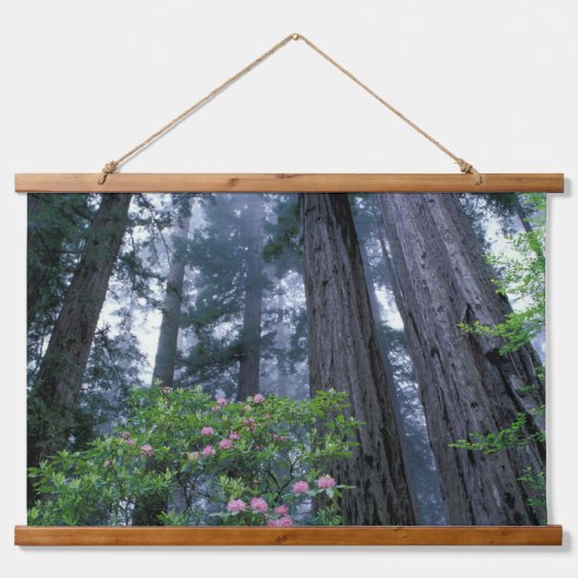 Kustredwoods en Rododendrons Hangend Wandkleed (Voorkant)