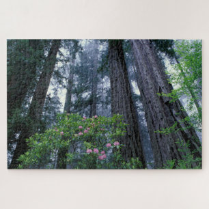 Kustredwoods en Rododendrons Legpuzzel