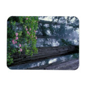 Kustredwoods en Rododendrons Magneet (Horizontaal)