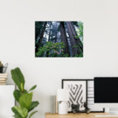Kustredwoods en Rododendrons Poster (Thuiskantoor)