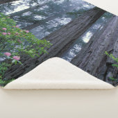 Kustredwoods en Rododendrons Sherpa Deken (3/4)