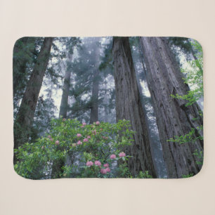 Kustredwoods en Rododendrons Sherpa Deken