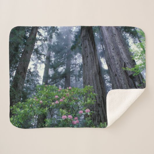 Kustredwoods en Rododendrons Sherpa Deken (Voorkant (horizontaal))