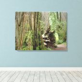 Kustroodbomen Canvas Printerbossen Afdruk (Insitu (Houten vloer))