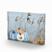 Kustroompompoen en -pompoenen fotoblokken (Rechts)