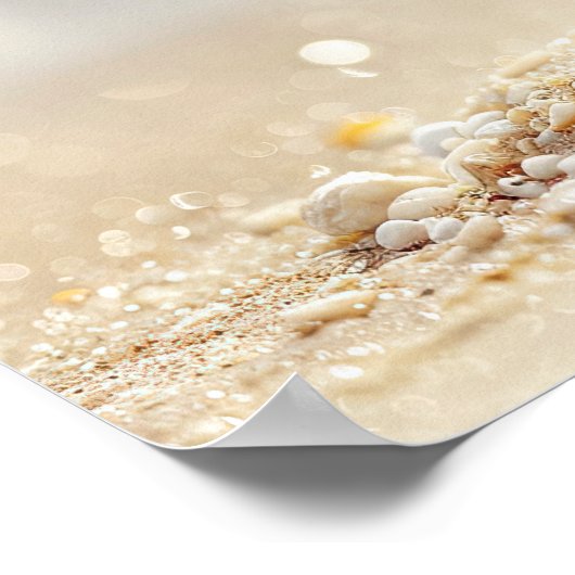 Kustrust: Zeeschelp op zonovergoten strand Poster (Hoek)