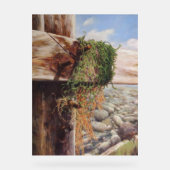 Kustscène met kiezels en verweerd hout. acryl bord (Voorkant)