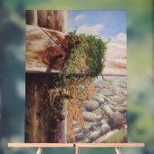 Kustscène met kiezels en verweerd hout. acryl bord (Neutraal)