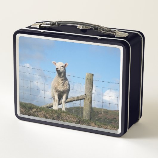 KUSTSCHAPEN (Achterkant)