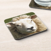 KUSTSCHAPEN BIER ONDERZETTER (Linkerzijde)